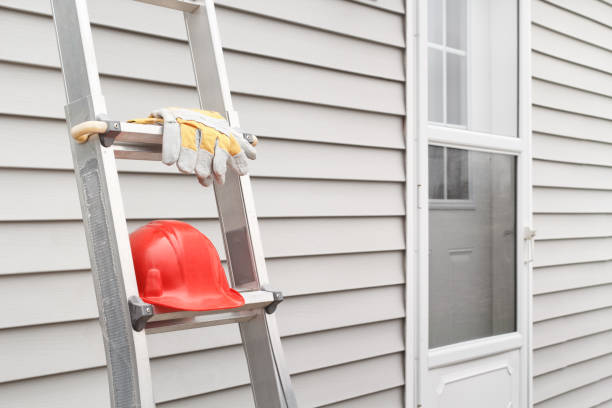 Best Siding Removal and Disposal  in Ralston, NE